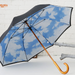 Double-Canopy-umbrella
